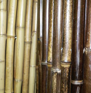 Bamboo Pole Catalog
